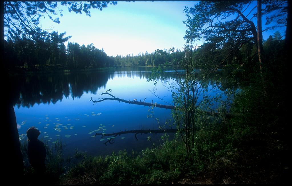 Manamansalo Camping Exteriér fotografie