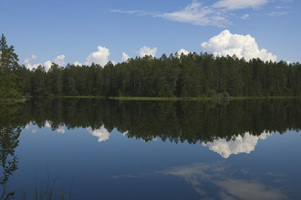 Manamansalo Camping Exteriér fotografie